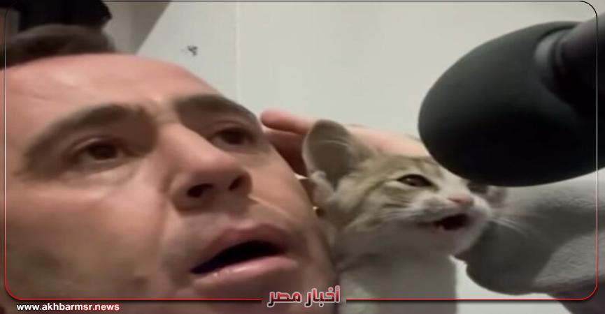 أخبار مصر 2050