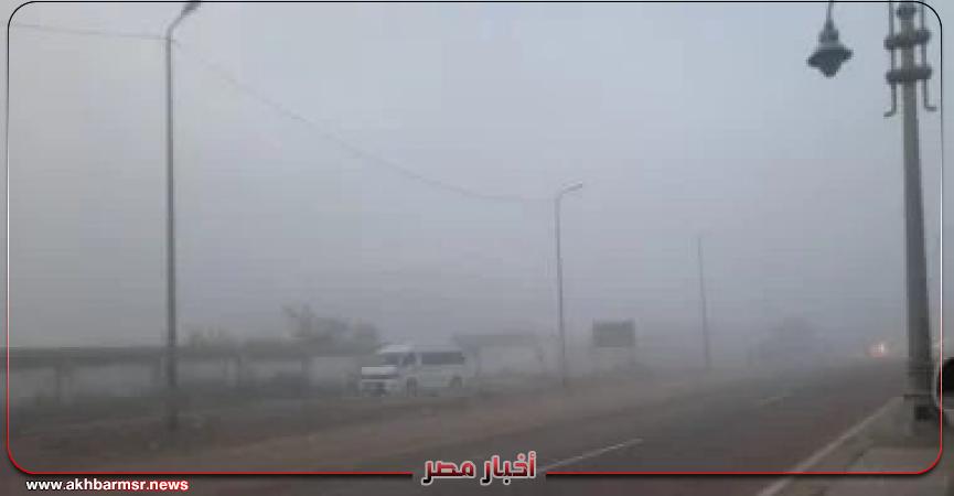 أخبار مصر 2050