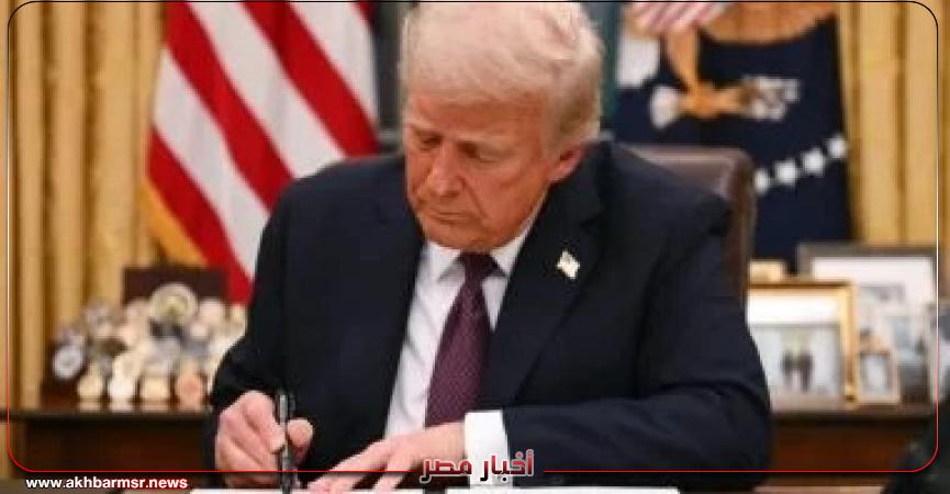 أخبار مصر 2050