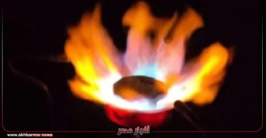 أخبار مصر 2050