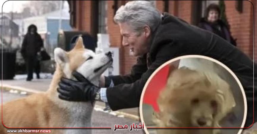 أخبار مصر 2050