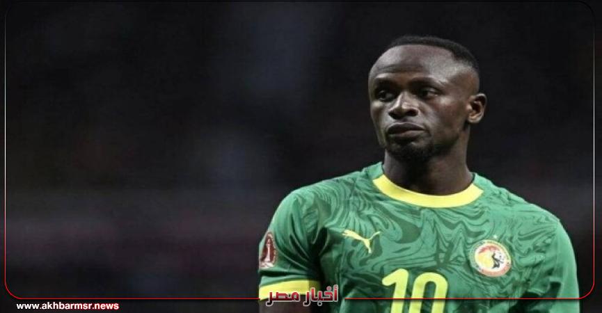 أخبار مصر 2050