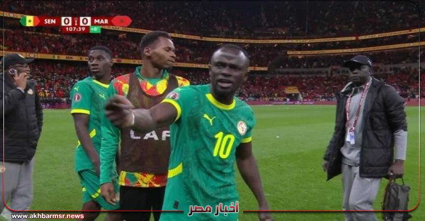 أخبار مصر 2050