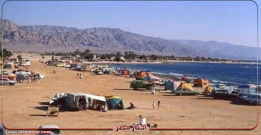 أخبار مصر 2050