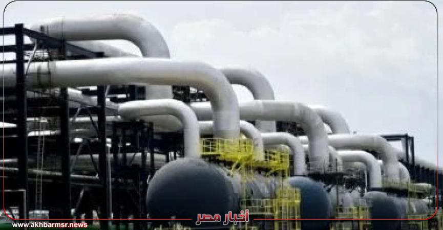 أخبار مصر 2050