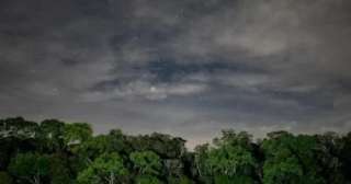 كيف تتغذى غابات الأمازون على دخان الحرائق؟ دراسة جديدة تكشف مفاجأة