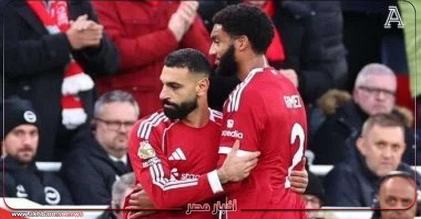 أخبار مصر 2050