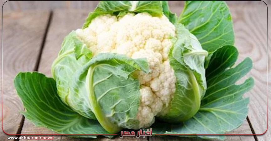 أخبار مصر 2050