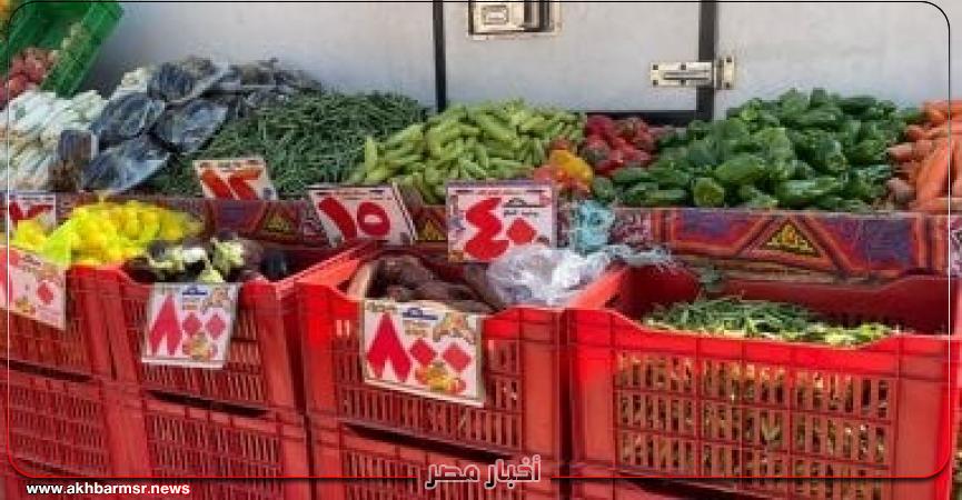 أخبار مصر 2050