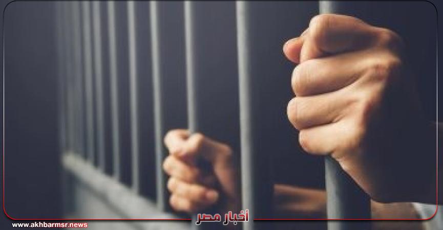 أخبار مصر 2050