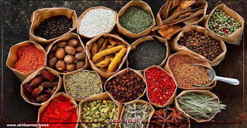 أخبار مصر 2050