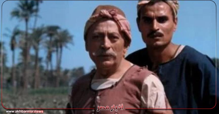 أخبار مصر 2050