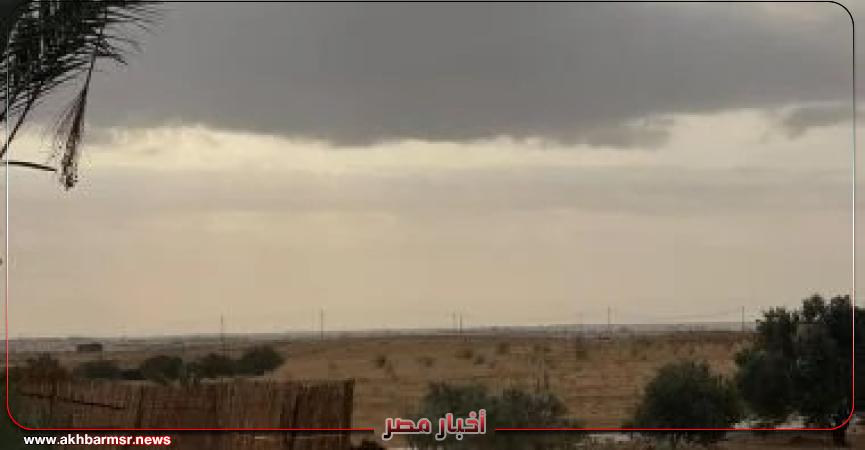 أخبار مصر 2050