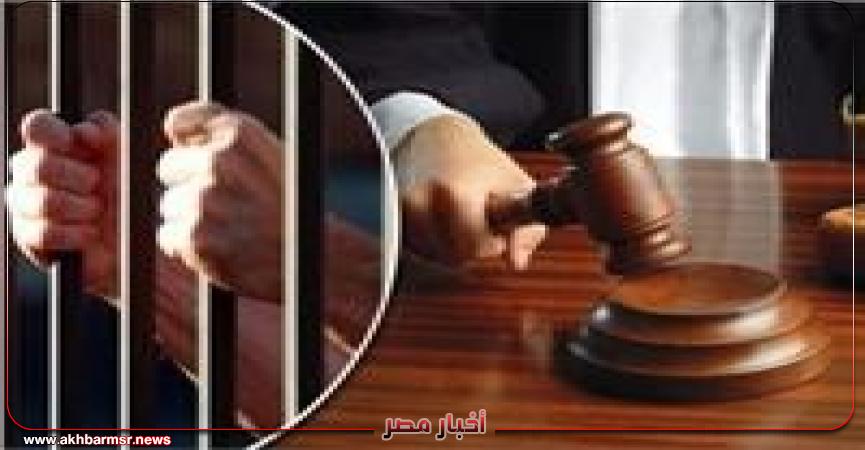 أخبار مصر 2050