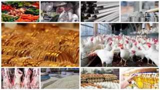 خريطة الأسعار اليوم: ارتفاع البلطي والفول والمكرونة وانخفاض الذهب