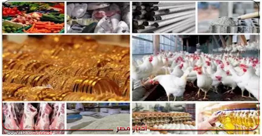 أخبار مصر 2050