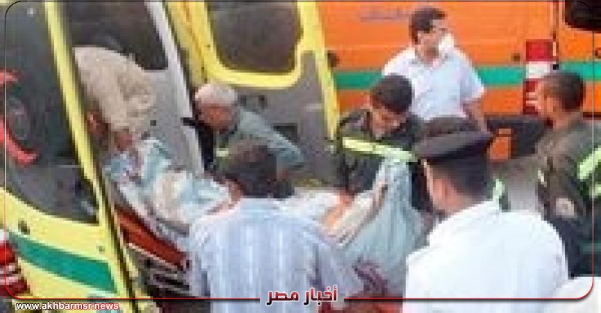 أخبار مصر 2050