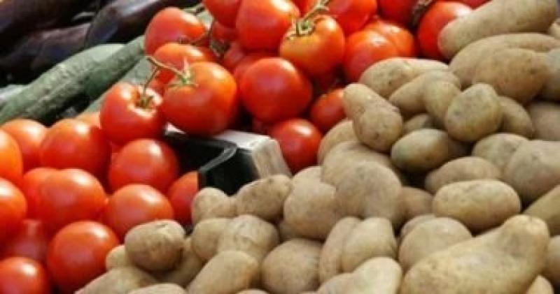 الطماطم والبطاطس تبدأ من 5 جنيهات.. أسعار الخضراوات اليوم السبت