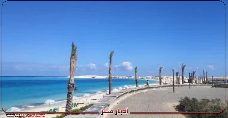 أخبار مصر 2050