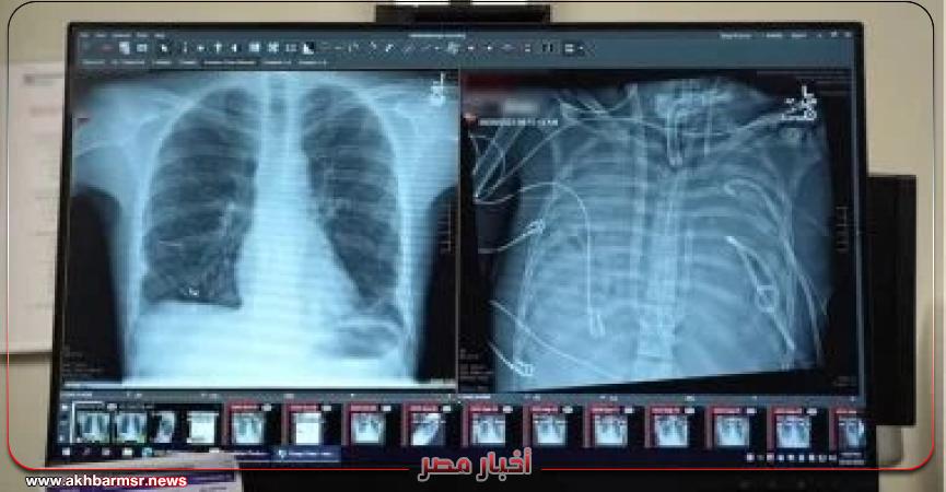 أخبار مصر 2050