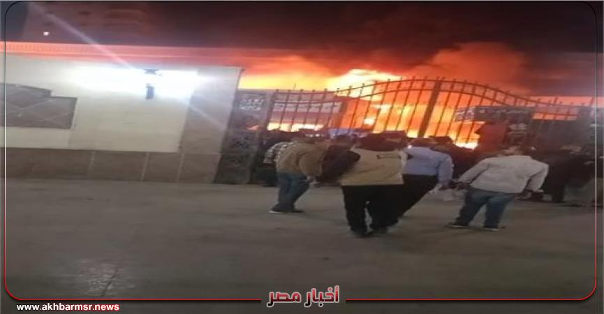 أخبار مصر 2050