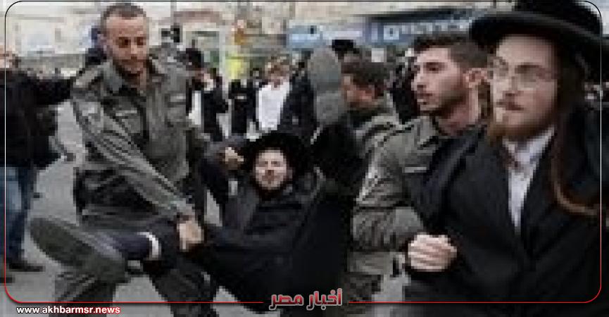 أخبار مصر 2050