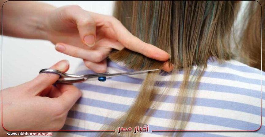 أخبار مصر 2050