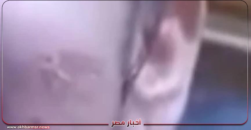 أخبار مصر 2050