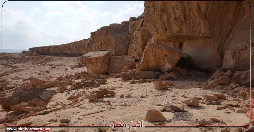 أخبار مصر 2050