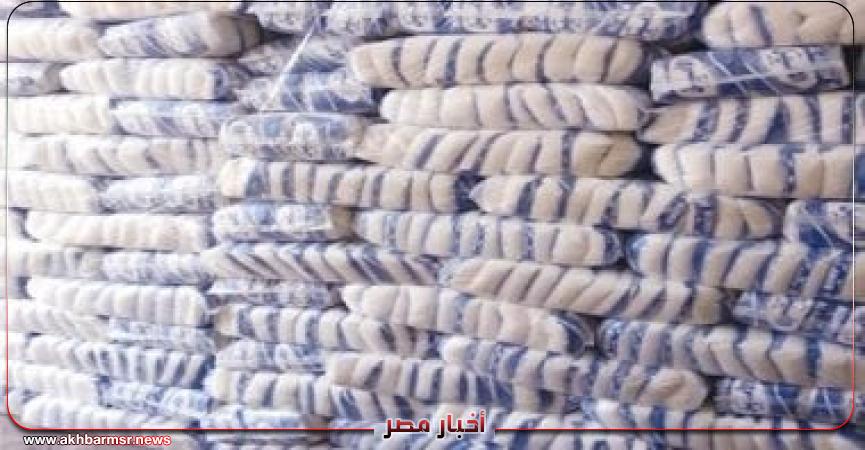 أخبار مصر 2050