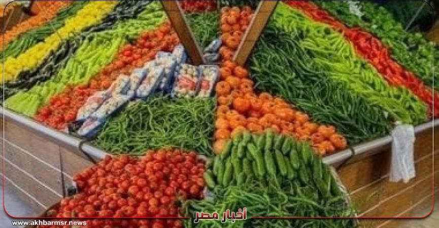 أخبار مصر 2050