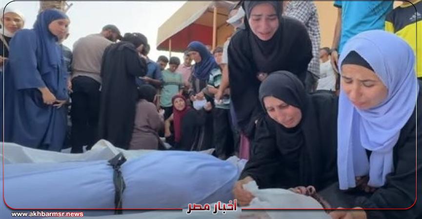 أخبار مصر 2050