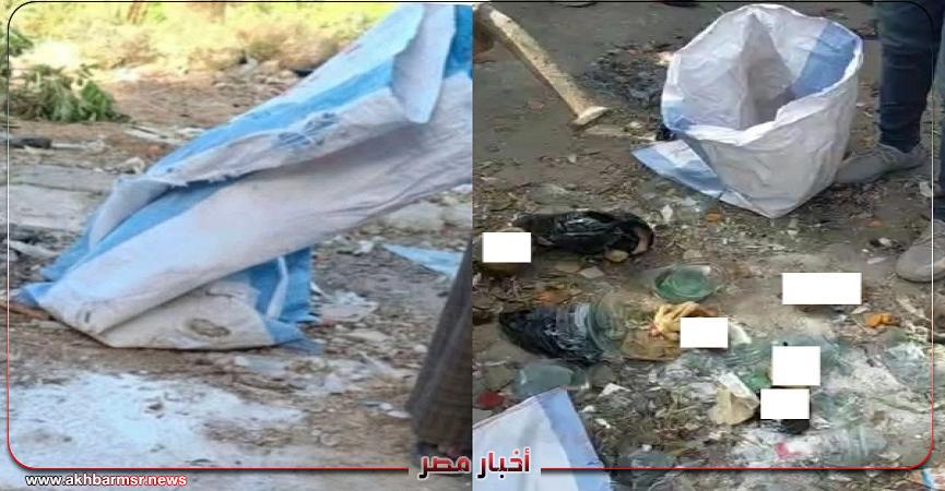 أخبار مصر 2050