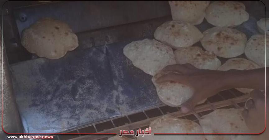 أخبار مصر 2050