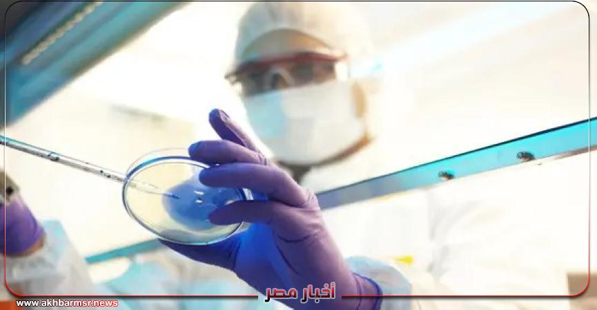 أخبار مصر 2050