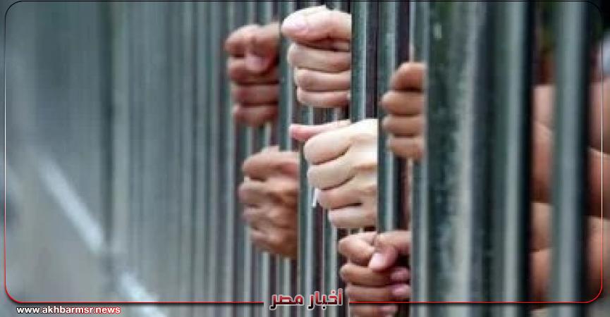 أخبار مصر 2050