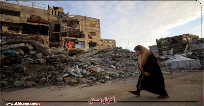 أخبار مصر 2050