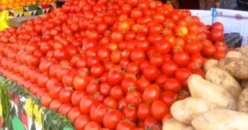 أسعار الخضراوات والفاكهة اليوم السبت 21-2-2026.. الطماطم بـ15 جنيها