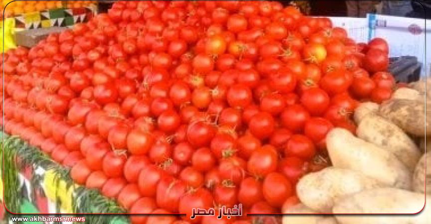 أخبار مصر 2050