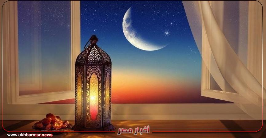 أخبار مصر 2050