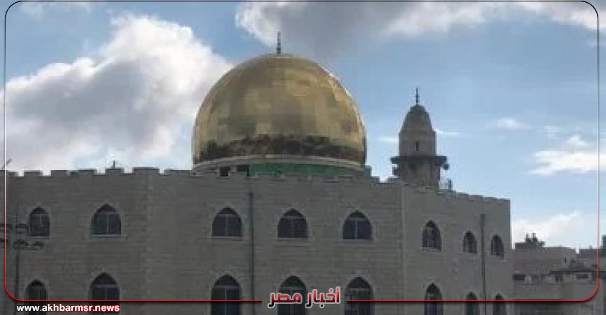 أخبار مصر 2050