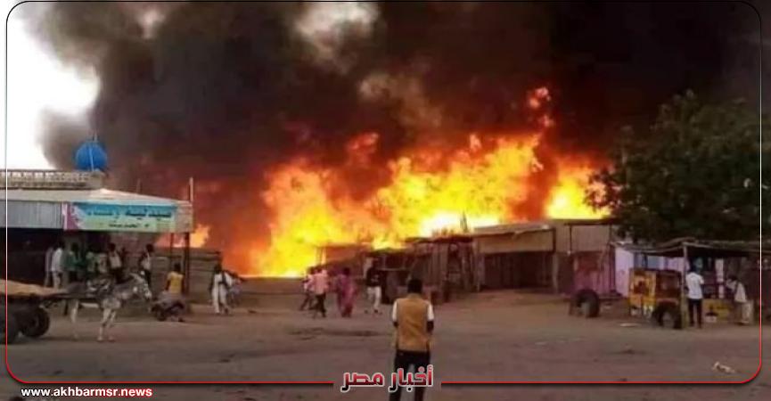 أخبار مصر 2050