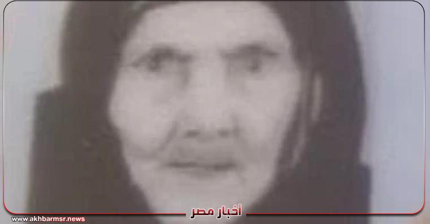 أخبار مصر 2050