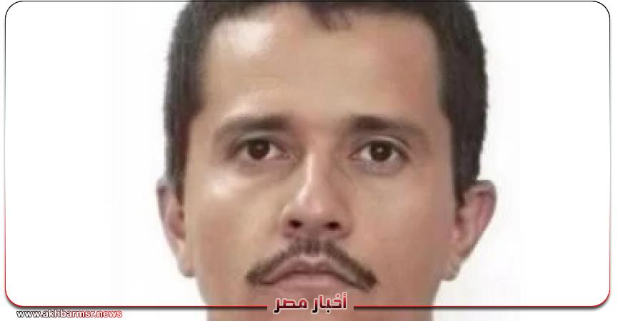 أخبار مصر 2050