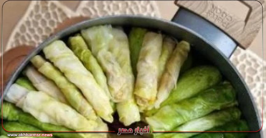 أخبار مصر 2050