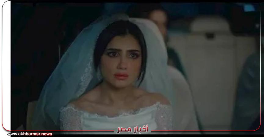 أخبار مصر 2050