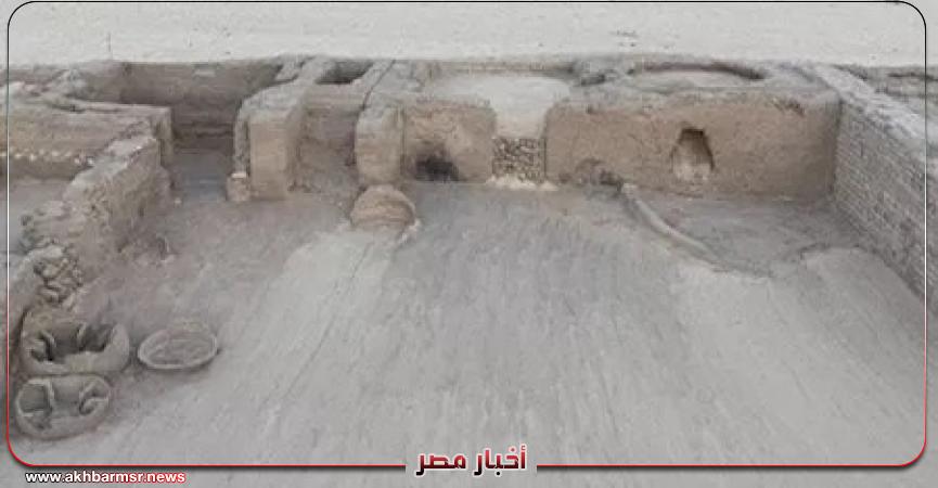 أخبار مصر 2050