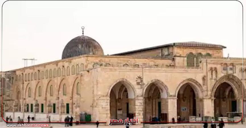 أخبار مصر 2050