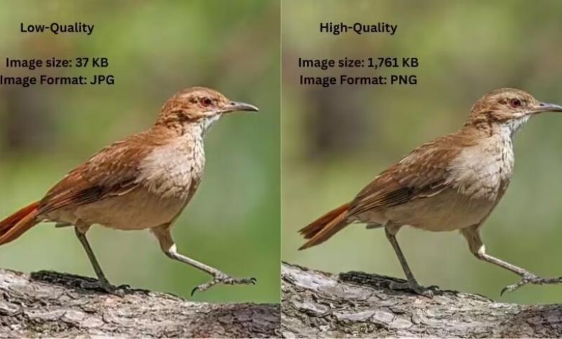 خطوات لتحسين الصور منخفضة الجودة باستخدام «Google Gemini»: ركز في «الصياغة» وتجنب المبالغة