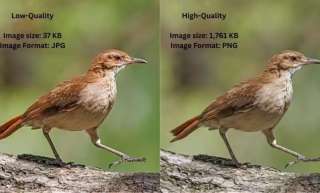 خطوات لتحسين الصور منخفضة الجودة باستخدام «Google Gemini»: ركز في «الصياغة» وتجنب... خطوات لتحسين الصور منخفضة الجودة باستخدام «Google Gemini»: ركز في «الصياغة» وتجنب المبالغة